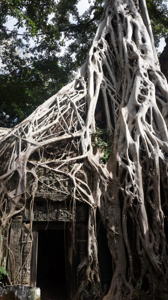 Angkor Wat cultura