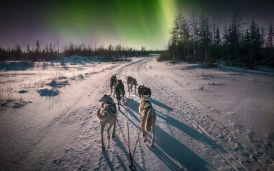 Cosa fare in Finlandia in inverno