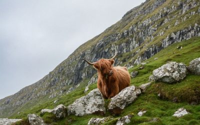 Scozia UNESCO Trail: 13 siti UNESCO in un unico percorso